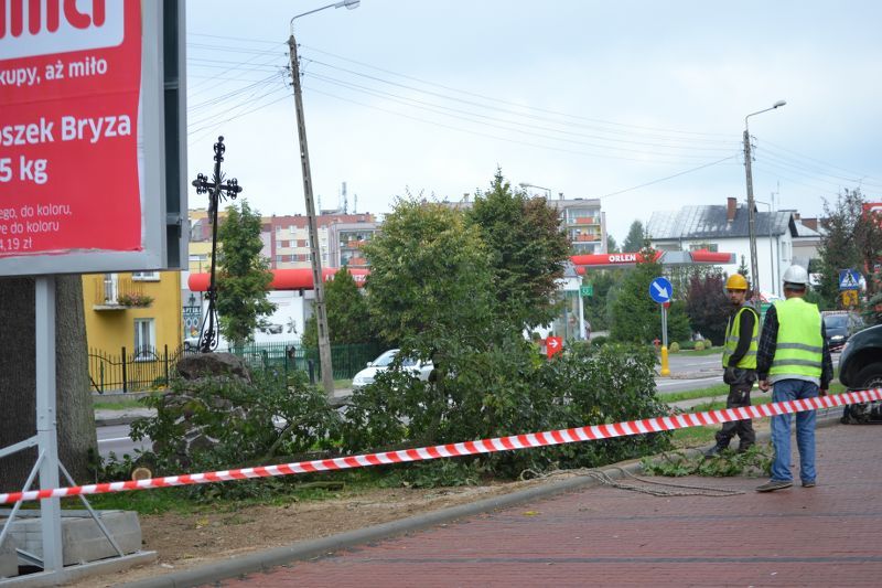 ZAKRES PRAC WYKONANYCH PRZY DĘBIE ? POMNIKU PRZYRODY ROSNĄCYM W KOLNIE (zobacz foto)