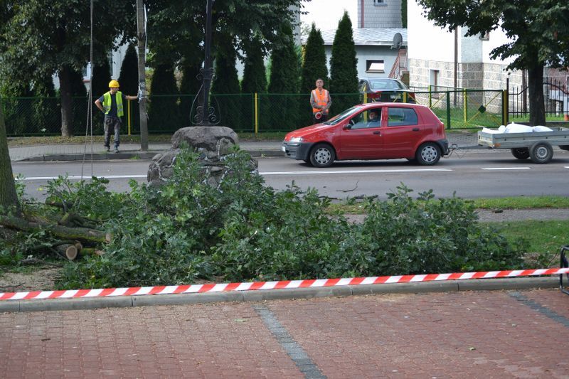 ZAKRES PRAC WYKONANYCH PRZY DĘBIE ? POMNIKU PRZYRODY ROSNĄCYM W KOLNIE (zobacz foto)