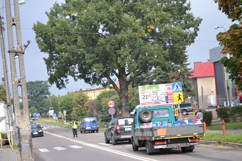 ZAKRES PRAC WYKONANYCH PRZY DĘBIE ? POMNIKU PRZYRODY ROSNĄCYM W KOLNIE (zobacz foto)