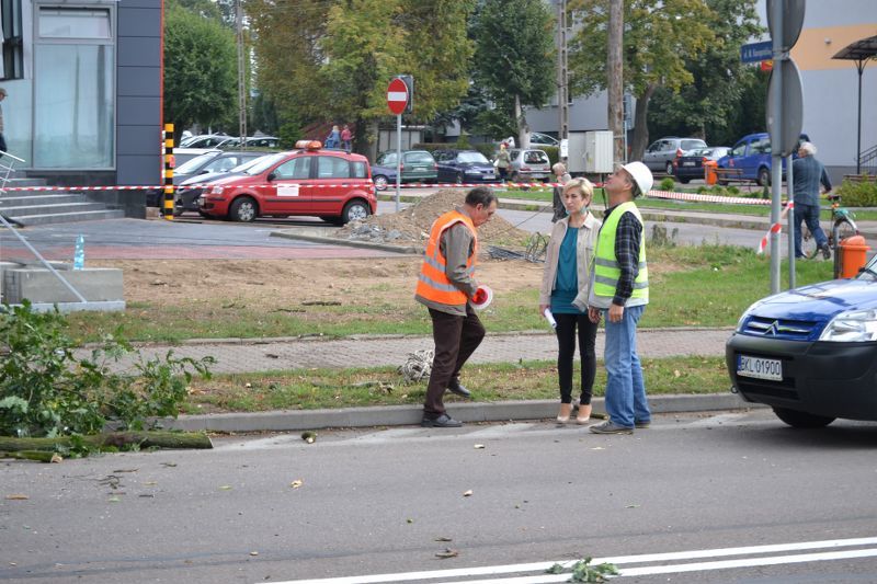 ZAKRES PRAC WYKONANYCH PRZY DĘBIE ? POMNIKU PRZYRODY ROSNĄCYM W KOLNIE (zobacz foto)