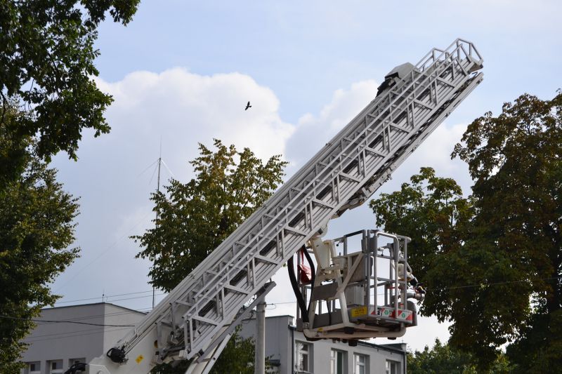 ZAKRES PRAC WYKONANYCH PRZY DĘBIE ? POMNIKU PRZYRODY ROSNĄCYM W KOLNIE (zobacz foto)