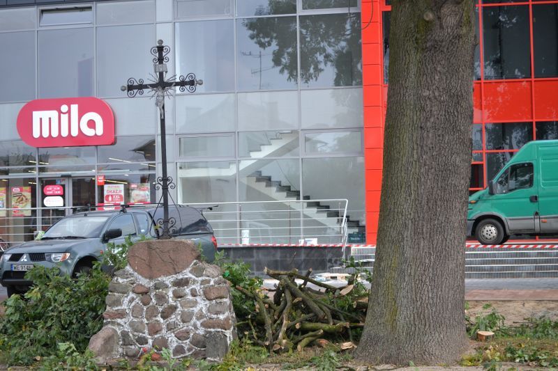 ZAKRES PRAC WYKONANYCH PRZY DĘBIE ? POMNIKU PRZYRODY ROSNĄCYM W KOLNIE (zobacz foto)