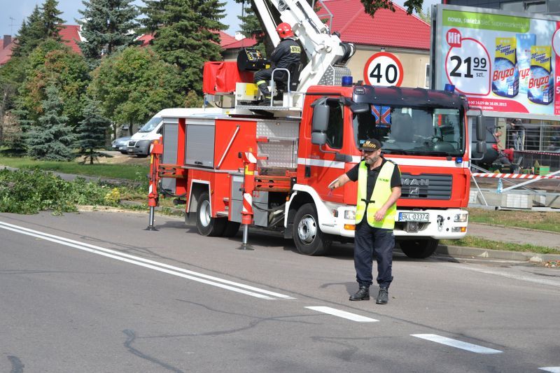 ZAKRES PRAC WYKONANYCH PRZY DĘBIE ? POMNIKU PRZYRODY ROSNĄCYM W KOLNIE (zobacz foto)