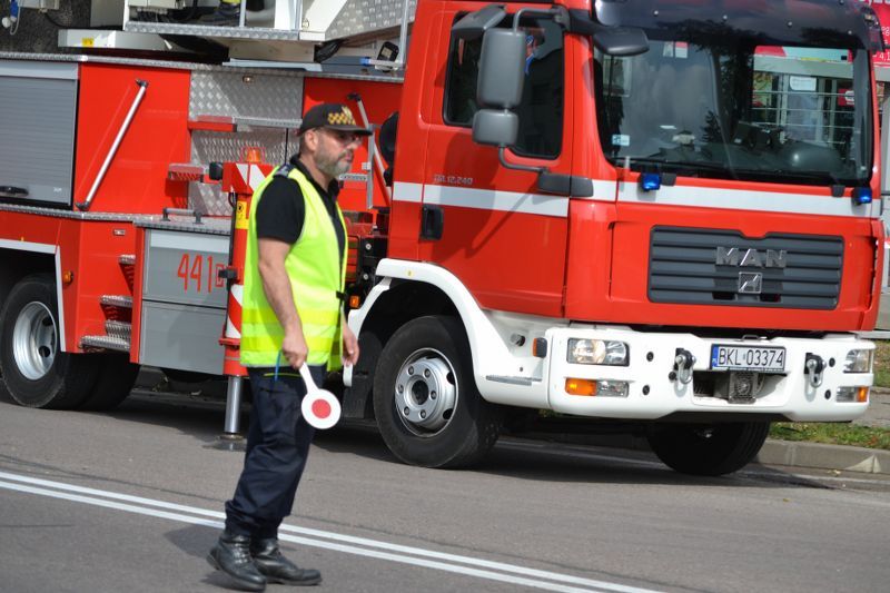 ZAKRES PRAC WYKONANYCH PRZY DĘBIE ? POMNIKU PRZYRODY ROSNĄCYM W KOLNIE (zobacz foto)