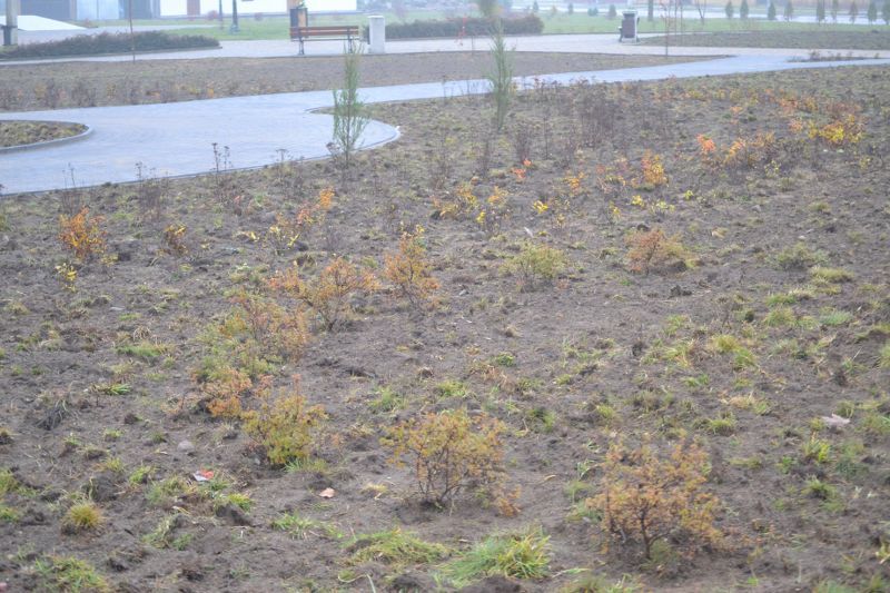Zagospodarowano teren przy kościele