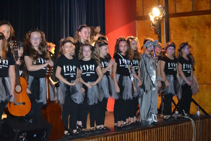 Dziecięcy Teatr Muzyczny  Kokis znowu zachwycił