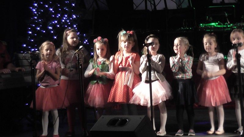 Pełna sala podczas Koncertu Noworocznego. Artyści na medal