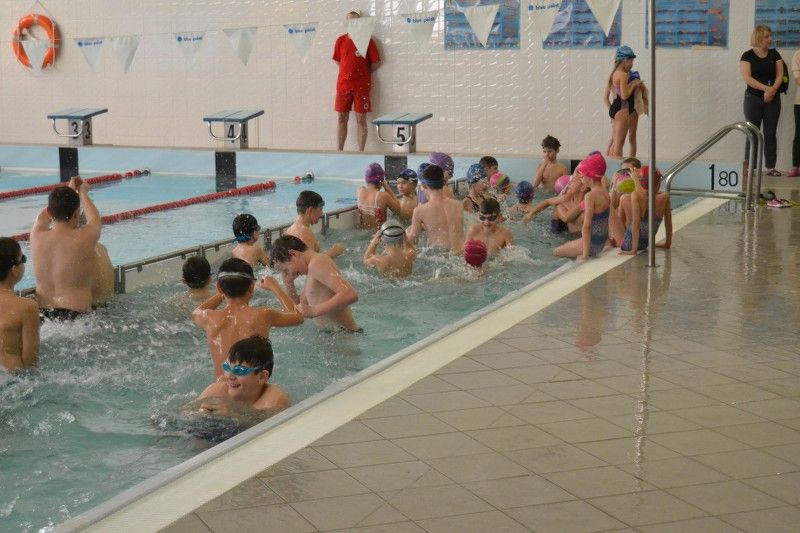 Zobacz relację fotograficzną z zawodów pływackich