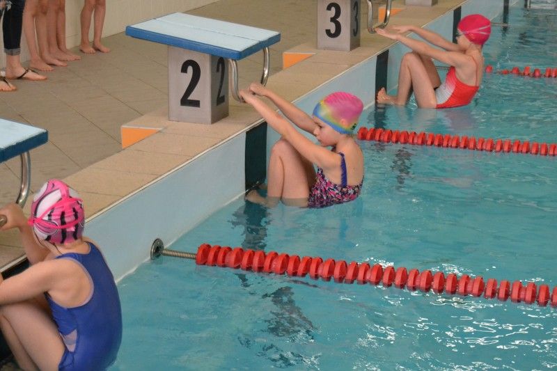 Zobacz relację fotograficzną z zawodów pływackich