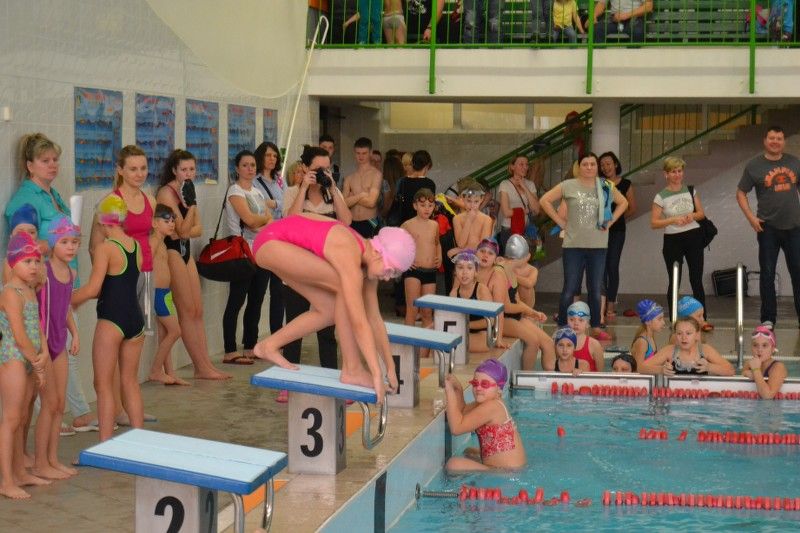 Zobacz relację fotograficzną z zawodów pływackich