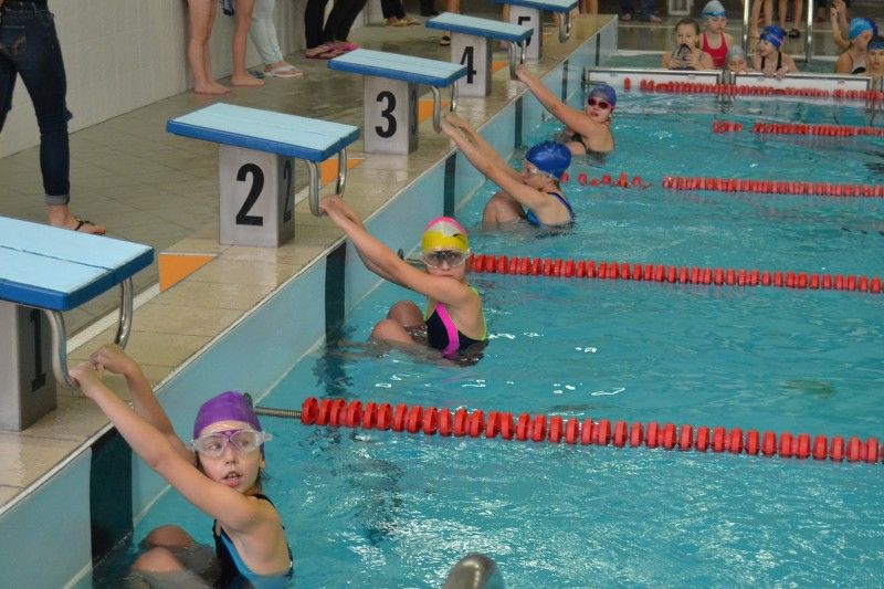 Zobacz relację fotograficzną z zawodów pływackich