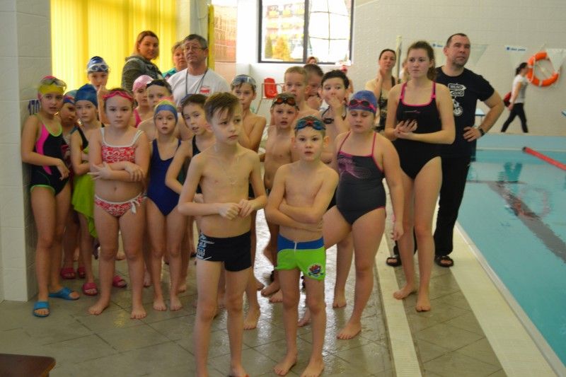 Zobacz relację fotograficzną z zawodów pływackich
