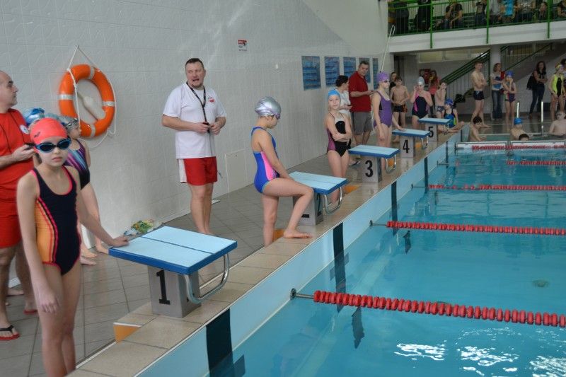 Zobacz relację fotograficzną z zawodów pływackich
