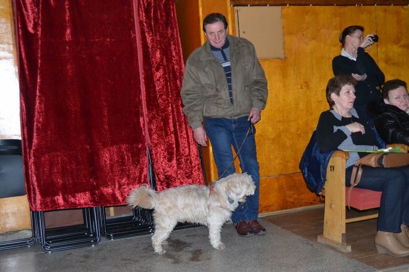 Udane widowisko z okazji Dnia Kobiet