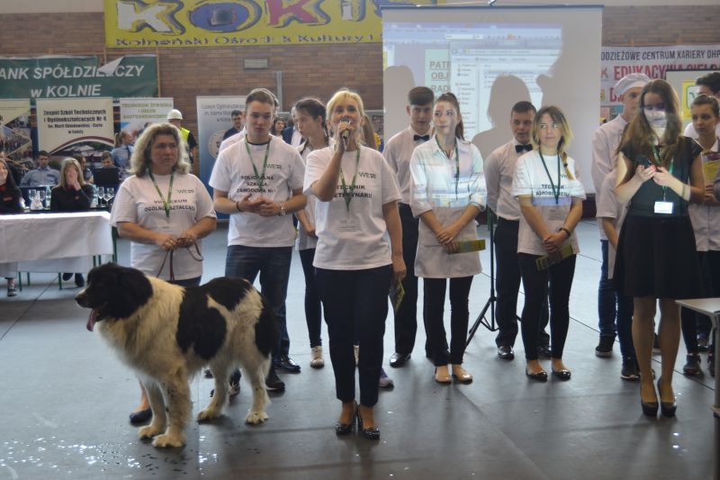 Edukacyjna  Giełda dla Gimnazjalistów w Kolnie. Mogli porównać oferty szkół (zobacz zdjęcia)