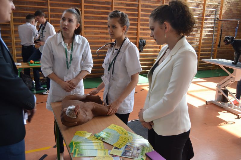Edukacyjna  Giełda dla Gimnazjalistów w Kolnie. Mogli porównać oferty szkół (zobacz zdjęcia)