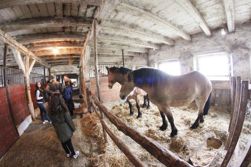 Tętent kopyt końskich, mundury ułańskie oraz śpiew kawaleryjskich pieśni
