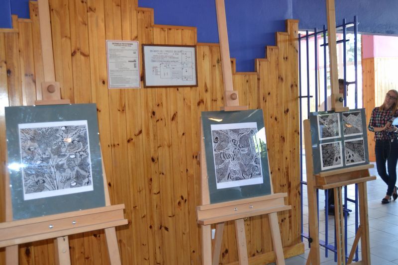 Zespół z Rumunii największą atrakcją festiwalu