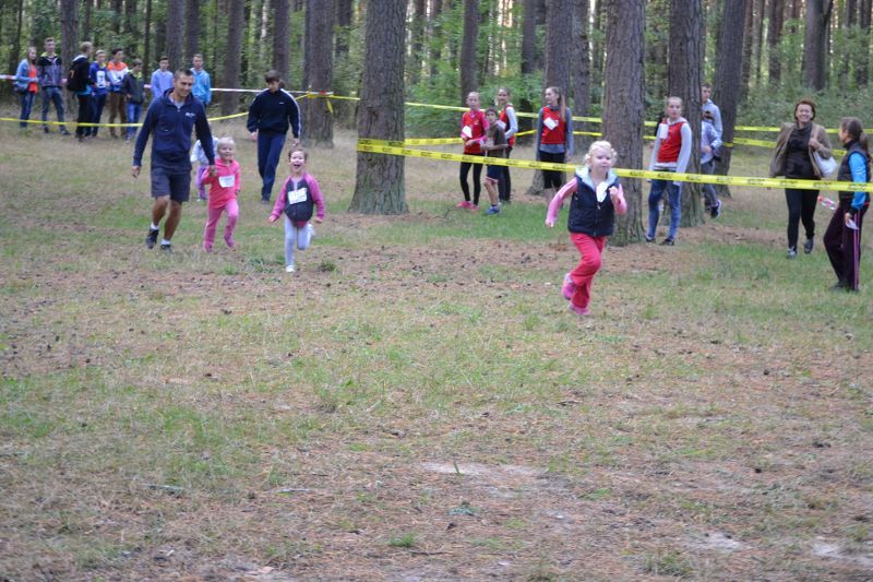 Przed nami XXVII Kolneńskie Biegi Jesieni
