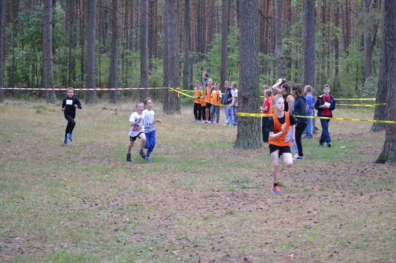 Przed nami XXVII Kolneńskie Biegi Jesieni