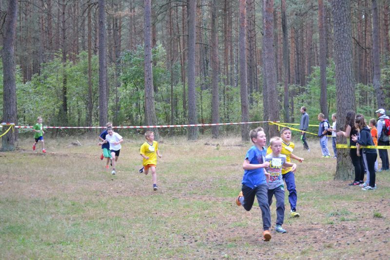 Przed nami XXVII Kolneńskie Biegi Jesieni