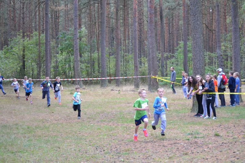 Przed nami XXVII Kolneńskie Biegi Jesieni
