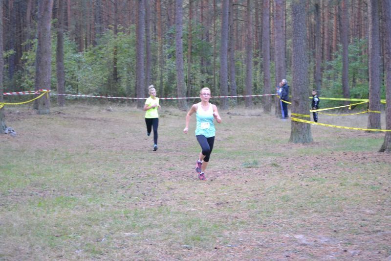 Przed nami XXVII Kolneńskie Biegi Jesieni
