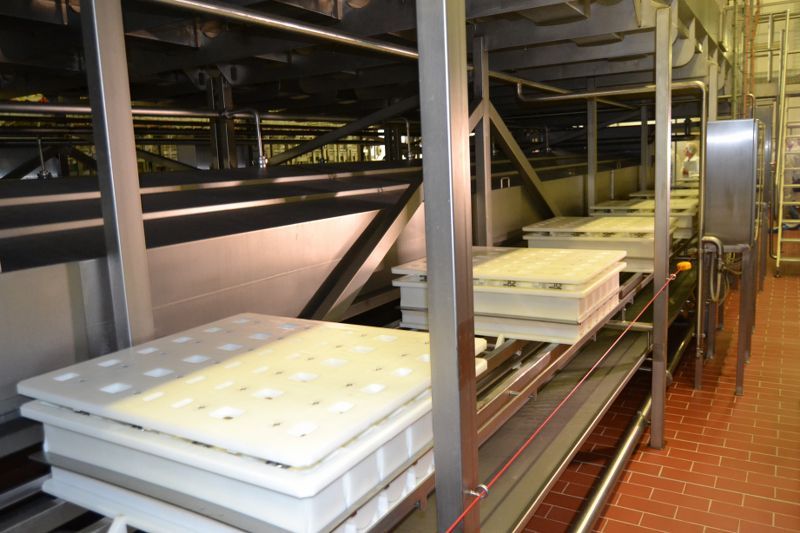 Nowa linia do produkcji serów i ekologiczna kotłownia ze stacją LNG   - to najnowsza inwestycja w kolneńskiej mleczarni (zobacz zdjęcia)