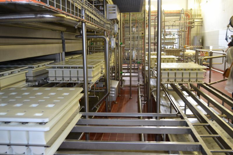 Nowa linia do produkcji serów i ekologiczna kotłownia ze stacją LNG   - to najnowsza inwestycja w kolneńskiej mleczarni (zobacz zdjęcia)