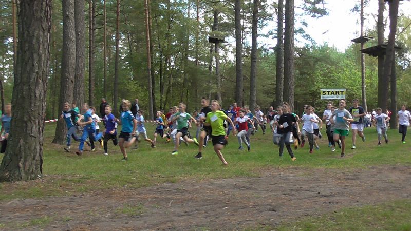 Za nami XXVII Kolneńskie Biegi Jesieni. Najmłodszy uczestnik miał 15 miesięcy (zobacz zdjęcia)