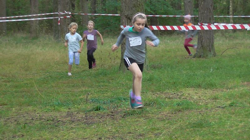 Za nami XXVII Kolneńskie Biegi Jesieni. Najmłodszy uczestnik miał 15 miesięcy (zobacz zdjęcia)