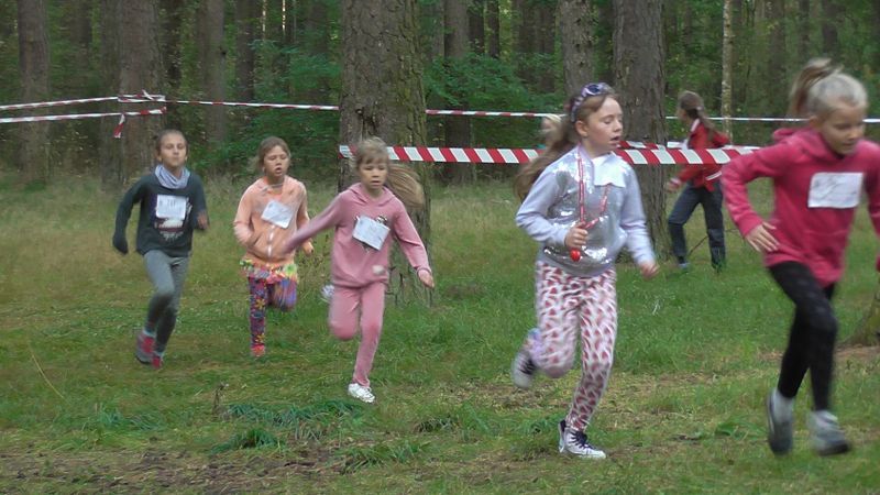 Za nami XXVII Kolneńskie Biegi Jesieni. Najmłodszy uczestnik miał 15 miesięcy (zobacz zdjęcia)