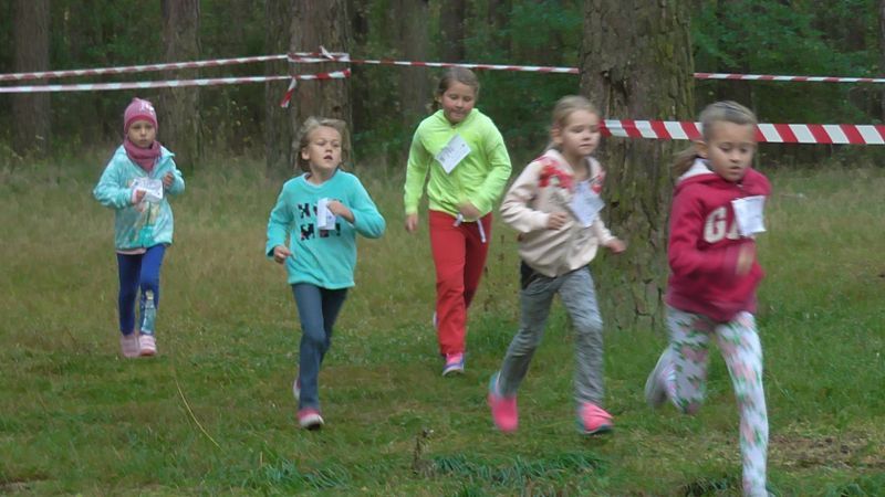 Za nami XXVII Kolneńskie Biegi Jesieni. Najmłodszy uczestnik miał 15 miesięcy (zobacz zdjęcia)
