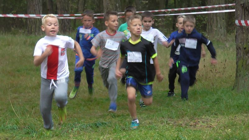 Za nami XXVII Kolneńskie Biegi Jesieni. Najmłodszy uczestnik miał 15 miesięcy (zobacz zdjęcia)