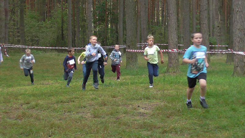 Za nami XXVII Kolneńskie Biegi Jesieni. Najmłodszy uczestnik miał 15 miesięcy (zobacz zdjęcia)