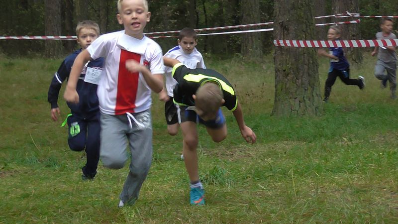 Za nami XXVII Kolneńskie Biegi Jesieni. Najmłodszy uczestnik miał 15 miesięcy (zobacz zdjęcia)