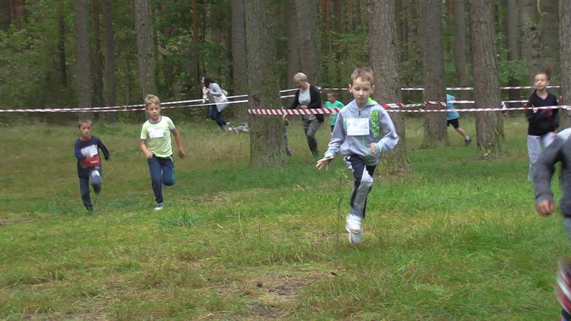 Za nami XXVII Kolneńskie Biegi Jesieni. Najmłodszy uczestnik miał 15 miesięcy (zobacz zdjęcia)