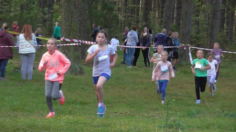 Za nami XXVII Kolneńskie Biegi Jesieni. Najmłodszy uczestnik miał 15 miesięcy (zobacz zdjęcia)