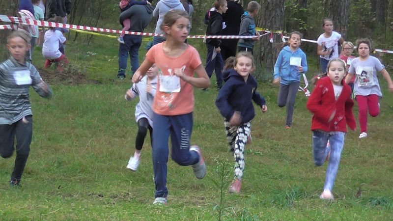 Za nami XXVII Kolneńskie Biegi Jesieni. Najmłodszy uczestnik miał 15 miesięcy (zobacz zdjęcia)