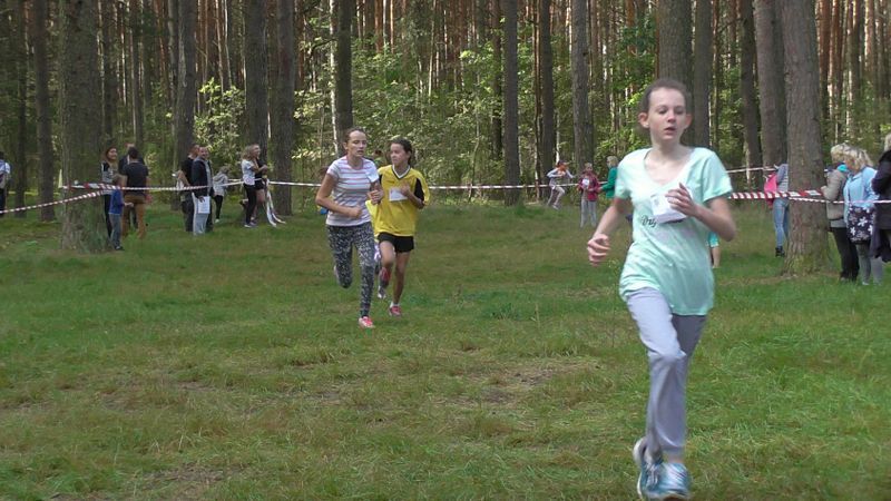 Za nami XXVII Kolneńskie Biegi Jesieni. Najmłodszy uczestnik miał 15 miesięcy (zobacz zdjęcia)
