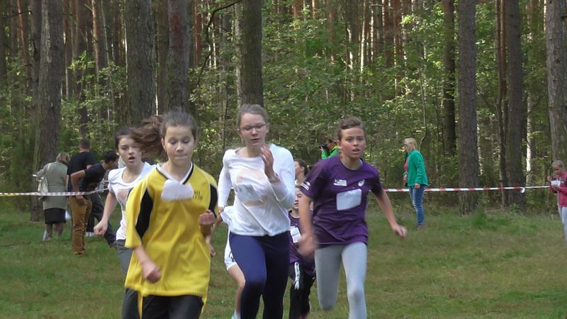 Za nami XXVII Kolneńskie Biegi Jesieni. Najmłodszy uczestnik miał 15 miesięcy (zobacz zdjęcia)