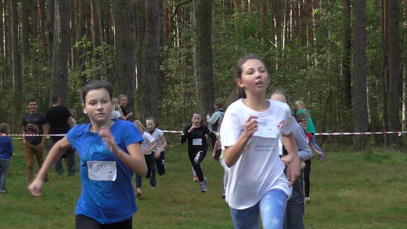 Za nami XXVII Kolneńskie Biegi Jesieni. Najmłodszy uczestnik miał 15 miesięcy (zobacz zdjęcia)