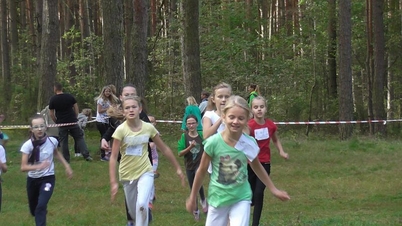 Za nami XXVII Kolneńskie Biegi Jesieni. Najmłodszy uczestnik miał 15 miesięcy (zobacz zdjęcia)