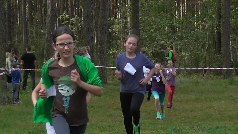 Za nami XXVII Kolneńskie Biegi Jesieni. Najmłodszy uczestnik miał 15 miesięcy (zobacz zdjęcia)