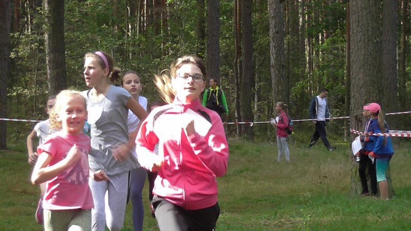 Za nami XXVII Kolneńskie Biegi Jesieni. Najmłodszy uczestnik miał 15 miesięcy (zobacz zdjęcia)