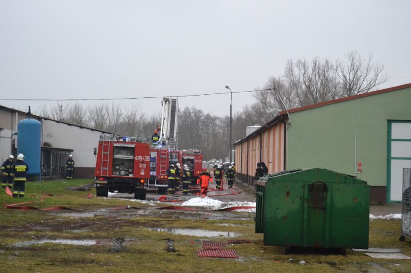 Wyciek amoniaku w kolneńskiej Mleczarni