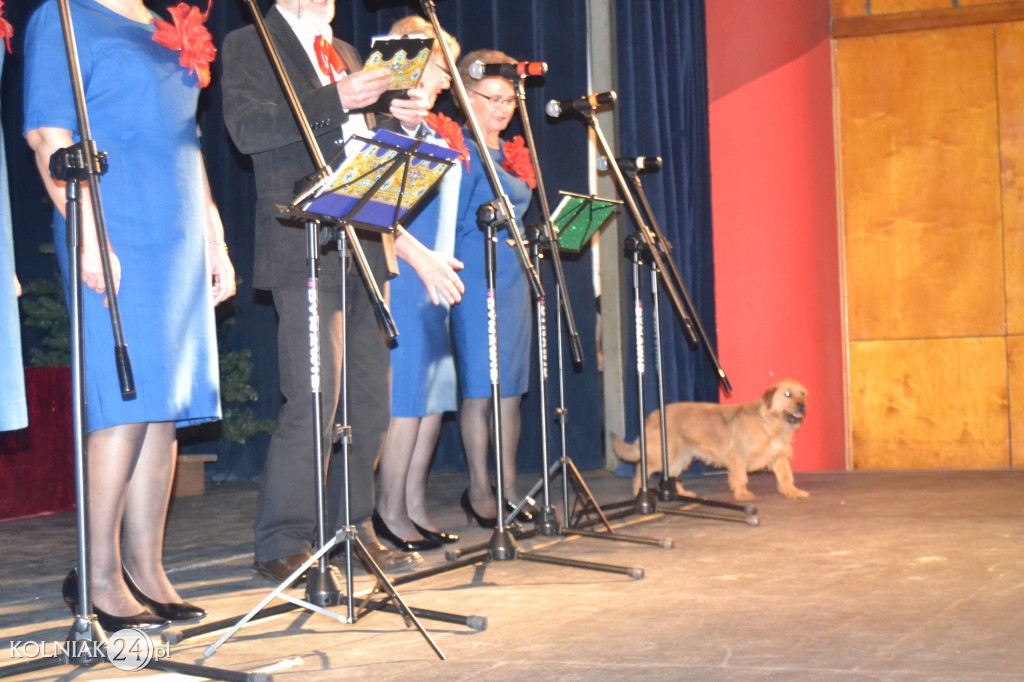 Koncert Noworoczny