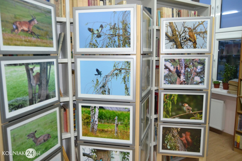 Wystawa fotografii Sylwestra Nicewicza