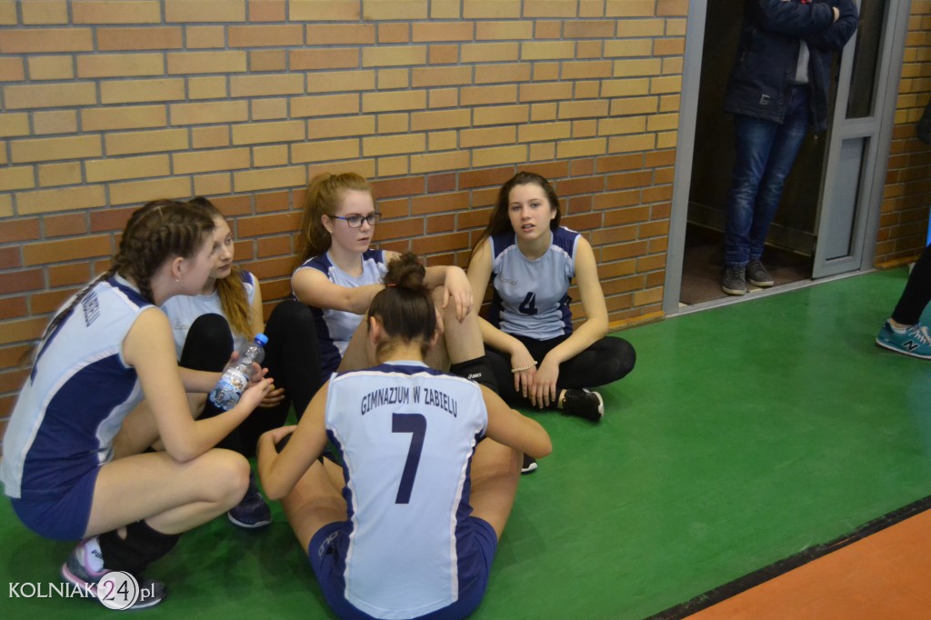 IV Turniej Piłki Siatkowej Dziewcząt