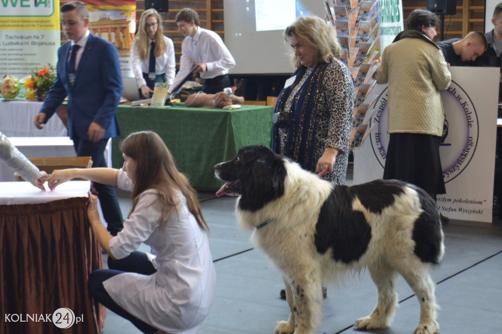Edukacyjna Giełda dla Gimnazjalistów